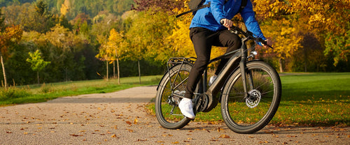 Rent bike